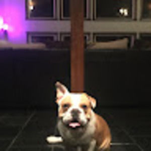 Meet your Posher, Lu_casti